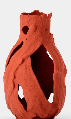 whatsapp image 2026-02-20 at 20 whatsapp image 2026-02-20 at 20